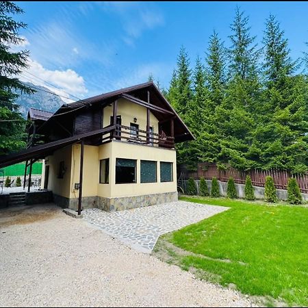 Ollie'S Mountain Chalet Buşteni Exteriér fotografie