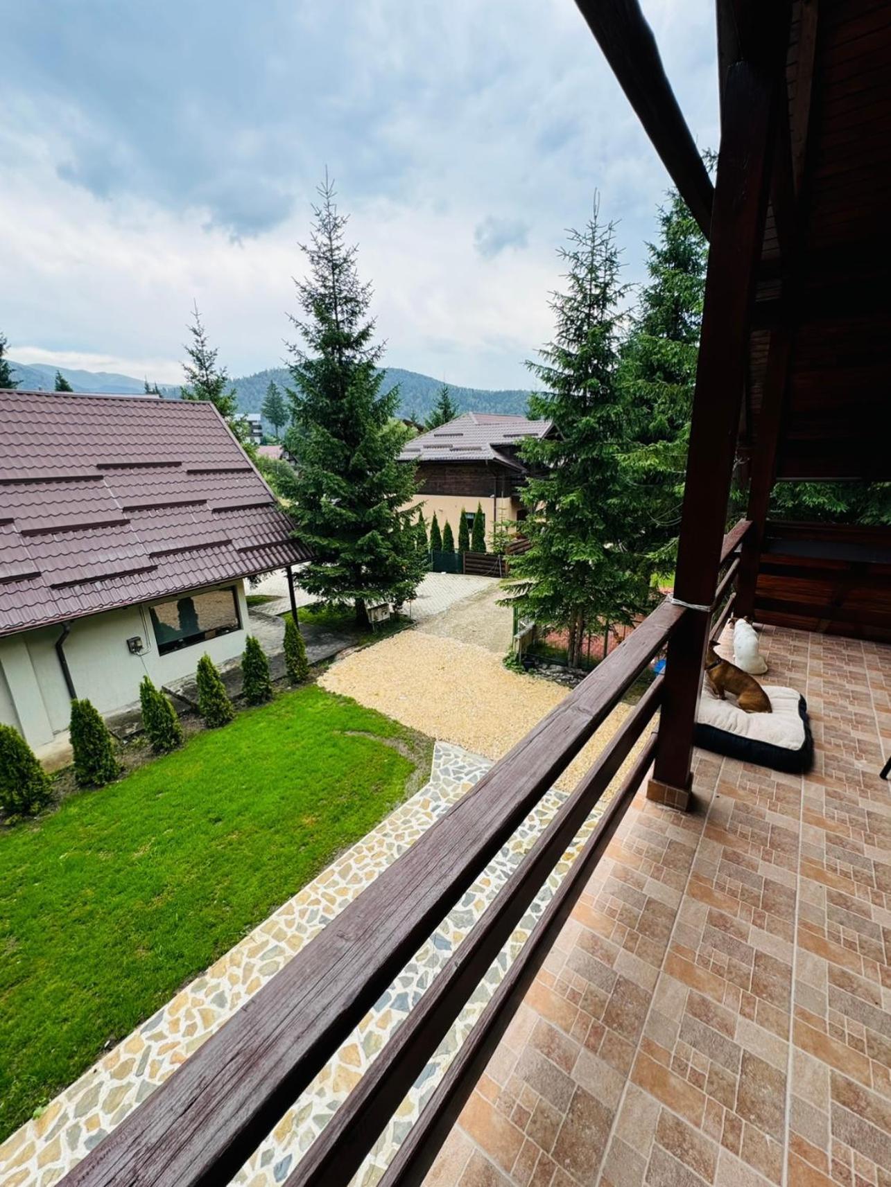 Ollie'S Mountain Chalet Buşteni Exteriér fotografie