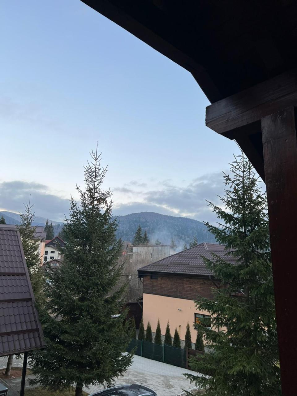 Ollie'S Mountain Chalet Buşteni Exteriér fotografie